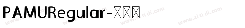 PAMURegular字体转换