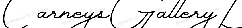 CarneysGalleryDemoVe字体转换