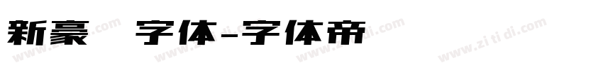 新豪龙字体字体转换