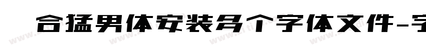 适合猛男体安装多个字体文件字体转换