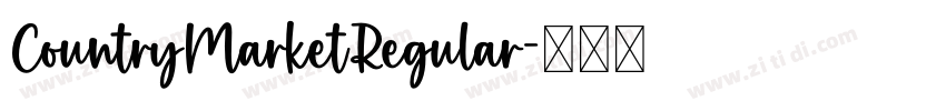 CountryMarketRegular字体转换
