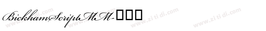 BickhamScriptMM字体转换