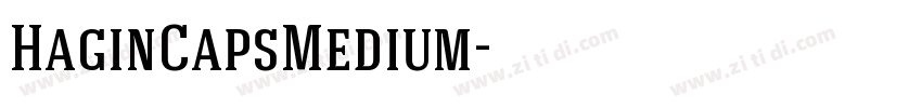 HaginCapsMedium字体转换