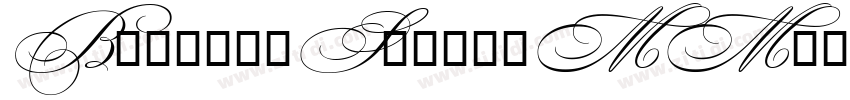 BickhamScriptMM字体转换