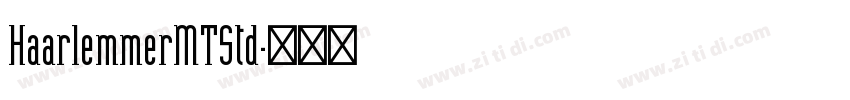 HaarlemmerMTStd字体转换