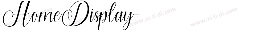 HomeDisplay字体转换