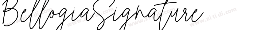 BellogiaSignature字体转换