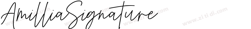 AmilliaSignature字体转换