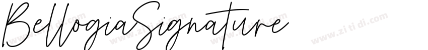 BellogiaSignature字体转换