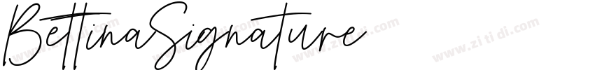 BettinaSignature字体转换