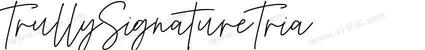 TrullySignatureTria字体转换