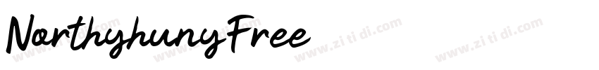 NorthyhunyFree字体转换