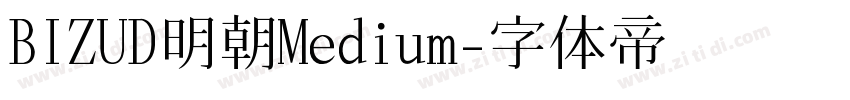BIZUD明朝Medium字体转换