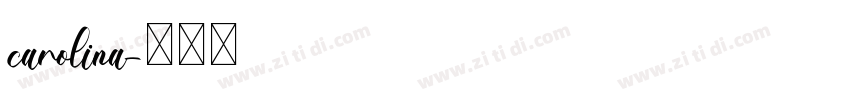 carolina字体转换