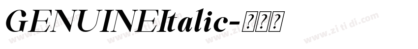 GENUINEItalic字体转换 GENUINEItalic字体转换