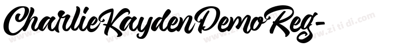 CharlieKaydenDemoReg字体转换