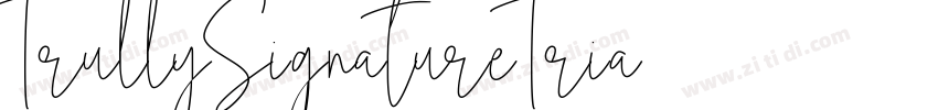 TrullySignatureTria字体转换