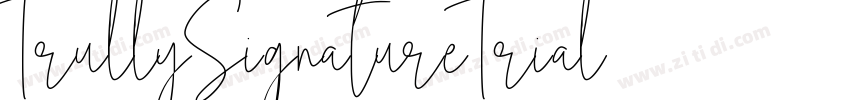 TrullySignatureTrial字体转换