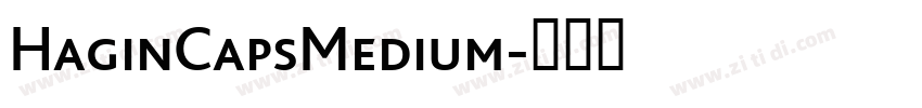 HaginCapsMedium字体转换