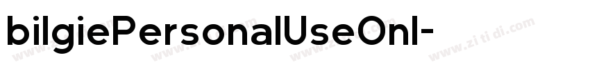 bilgiePersonalUseOnl字体转换