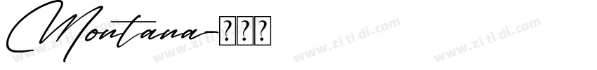Montana字体转换
