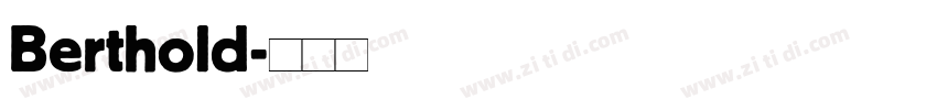 Berthold字体转换