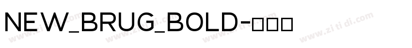 NEW_BRUG_Bold字体转换
