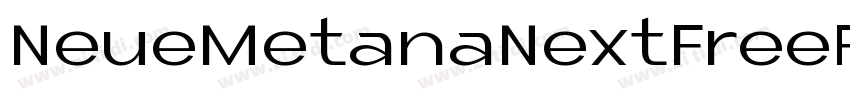 NeueMetanaNextFreePe字体转换
