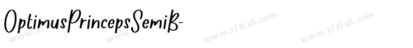 OptimusPrincepsSemiB字体转换