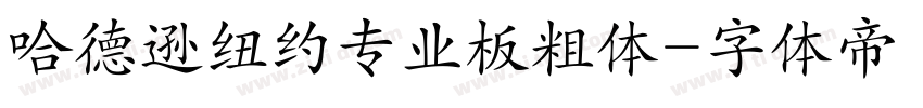 哈德逊纽约专业板粗体字体转换