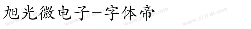 旭光微电子字体转换