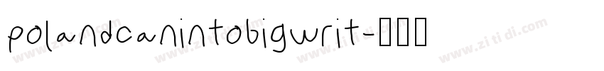 polandcanintobigwrit字体转换