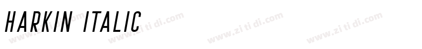 Harkin-Italic字体转换