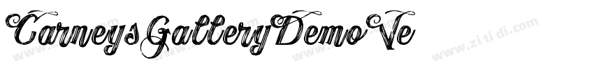 CarneysGalleryDemoVe字体转换