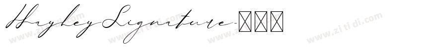HayleySignature字体转换