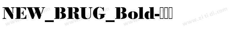 NEW_BRUG_Bold字体转换