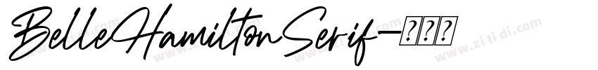 BelleHamiltonSerif字体转换