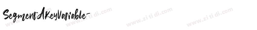 SegmentAKeyVariable字体转换