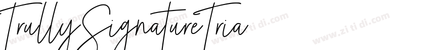 TrullySignatureTria字体转换
