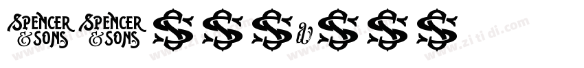 SJzhuanli字体转换