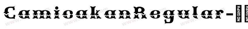 CamicakanRegular字体转换 CamicakanRegular字体转换