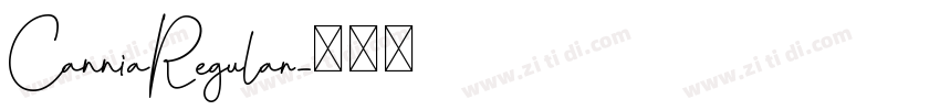 CanniaRegular字体转换