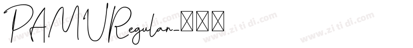 PAMURegular字体转换