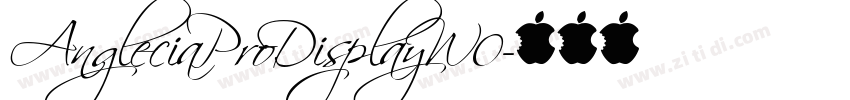 AngleciaProDisplayW0字体转换