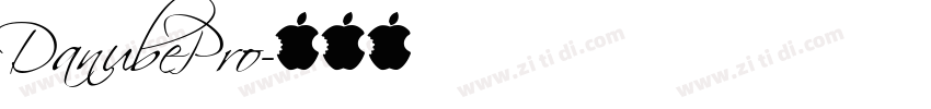 DanubePro字体转换