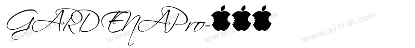 GARDENAPro字体转换