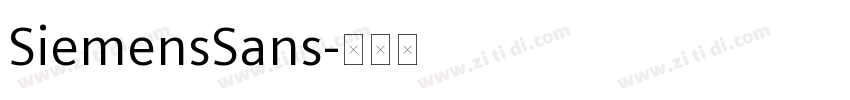 SiemensSans字体转换