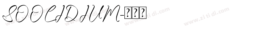 SOOLIDIUM字体转换