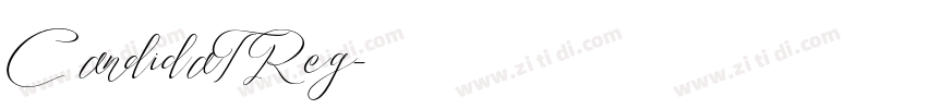 CandidaTReg字体转换