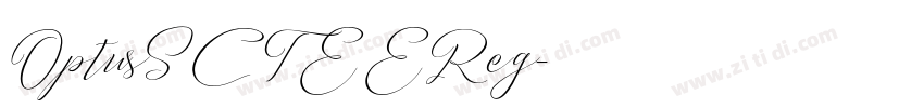 OptusSCTEEReg字体转换